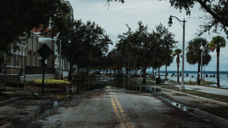 A flooded urban street with palm trees, buildings, and puddles, under a cloudy sky