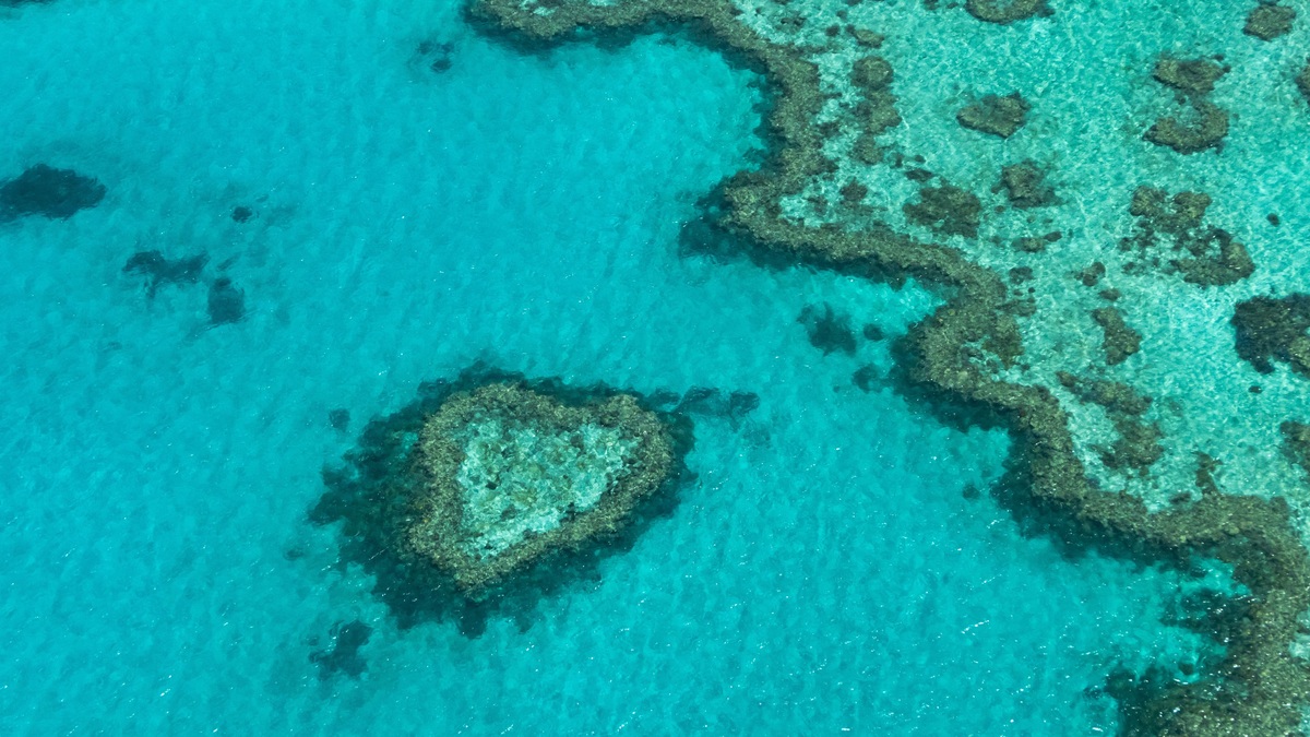 Stunning aerial shot of the heart-shaped coral formation in the Great Barrier Reef, Australia