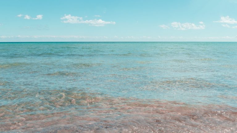 Tranquil shoreline scene with clear skies at East Tawas, Michigan, USA