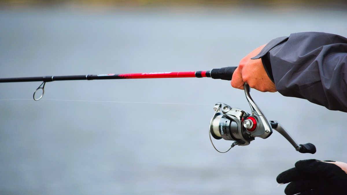 A person holds a fishing rod at a serene lake, capturing a peaceful moment