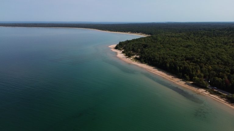 Aerial view of pristine sandy beach surrounded by lush green forest in Bliss, Michigan
