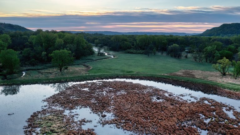 Serene aerial view of a natural landscape in Minnesota at dusk, featuring a lake and lush trees