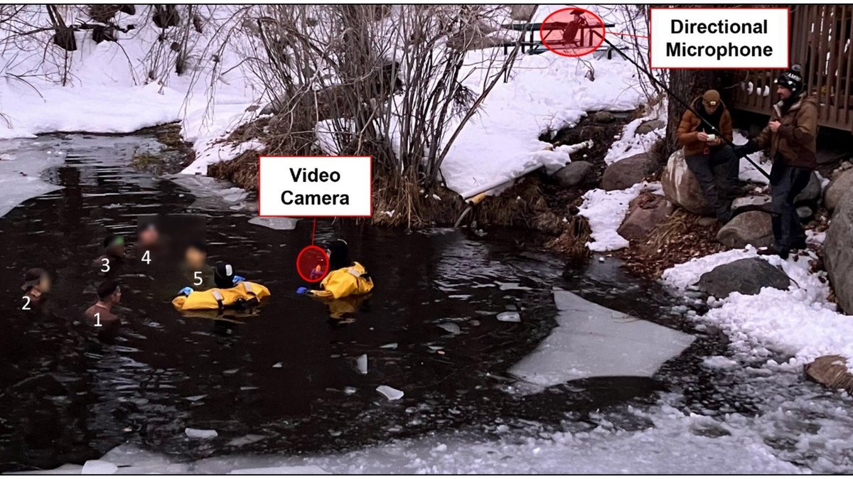 Service members performing a group creativity task during cold-water immersion