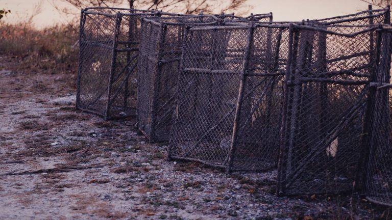 Rustic fishing cages left abandoned on a rocky shoreline during dusk in winter, capturing solitude