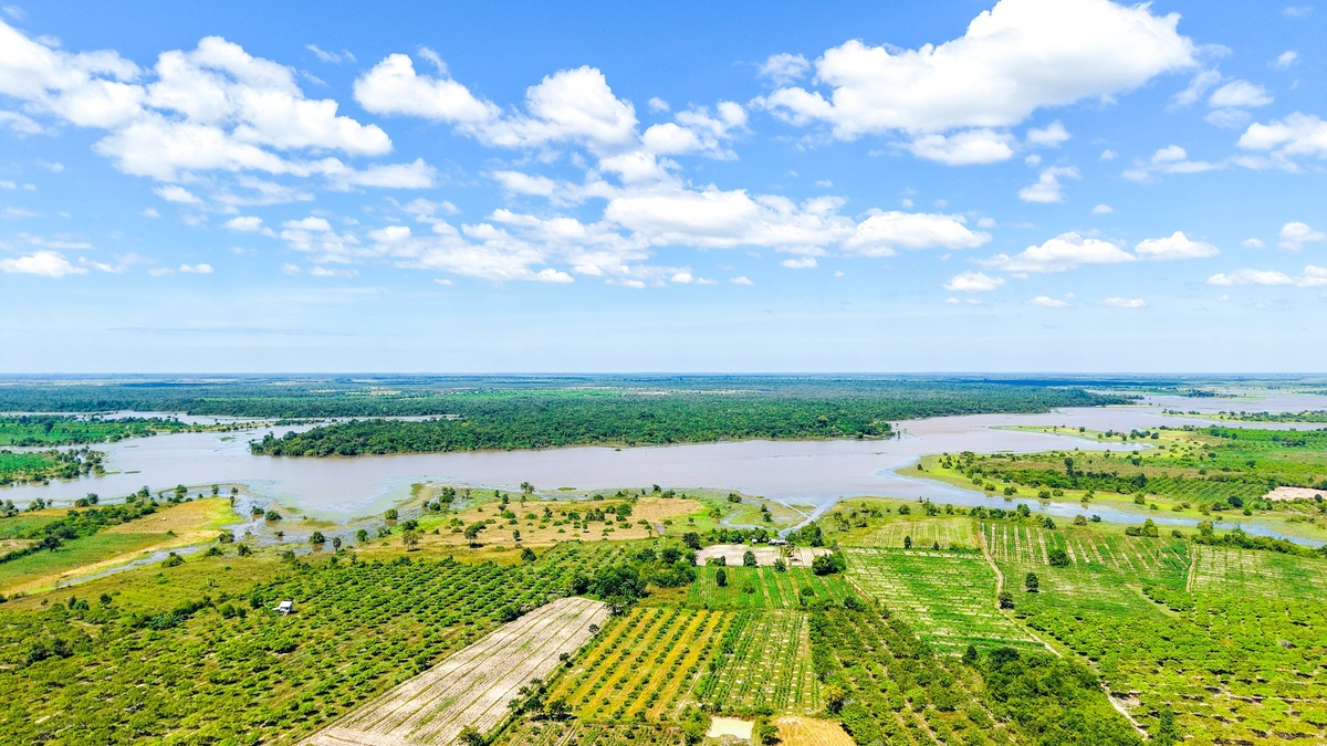 Stunning aerial landscape of lush rice fields and river in Cambodia under a bright blue sky