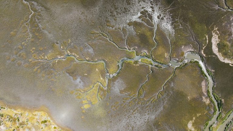Aerial_salt_marsh_channels