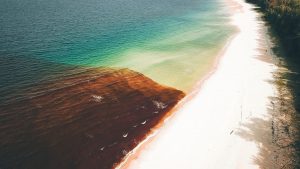 From above of clear turquoise water with sharp border with water with algal bloom near sandy coastline in sunny day