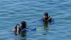 Polar cold water divers