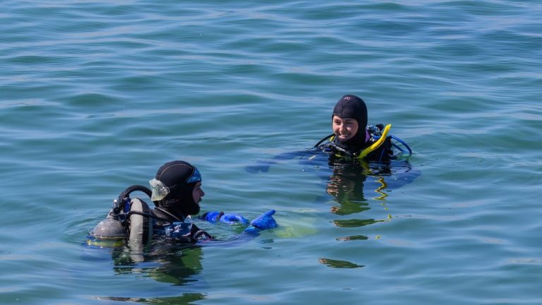Polar cold water divers