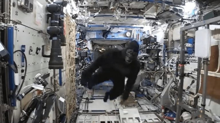 Astronaut working inside space station