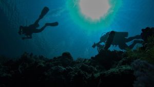 Sunlight filtering through ocean water