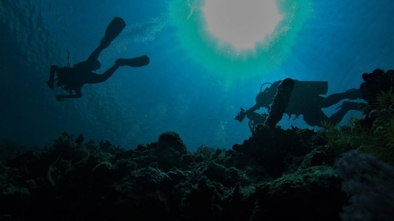 Sunlight filtering through ocean water