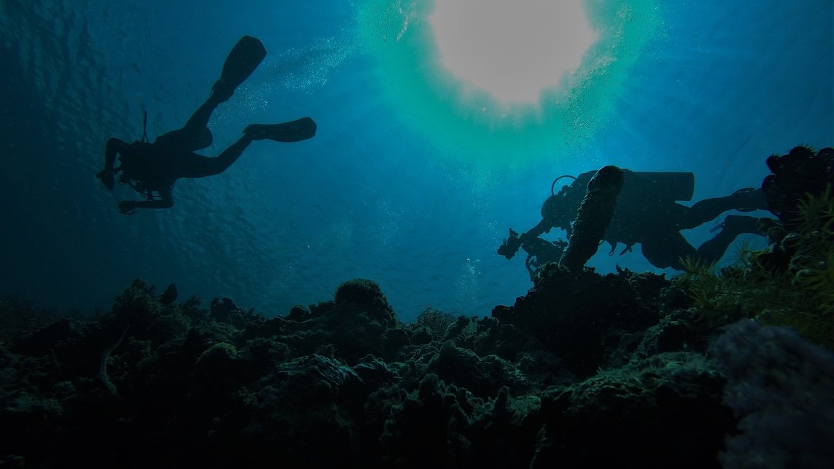Sunlight filtering through ocean water