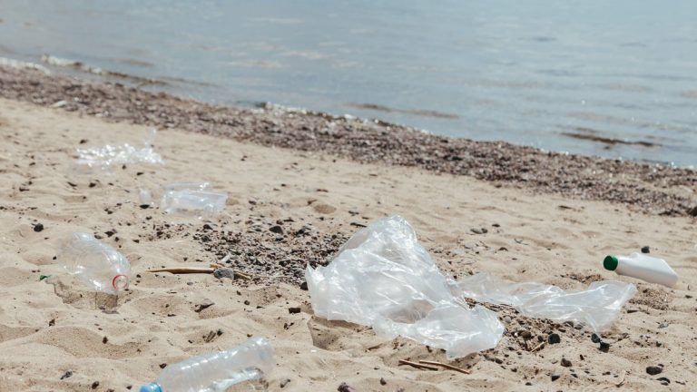 Plastic waste and litter scattered on a sandy beach, highlighting environmental pollution issues