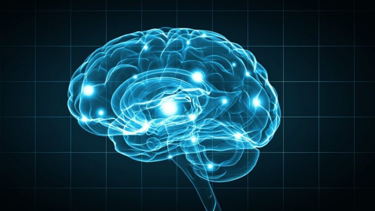 Concept of human intelligence with human brain on blue background