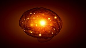 Concept of human intelligence with human brain on black background