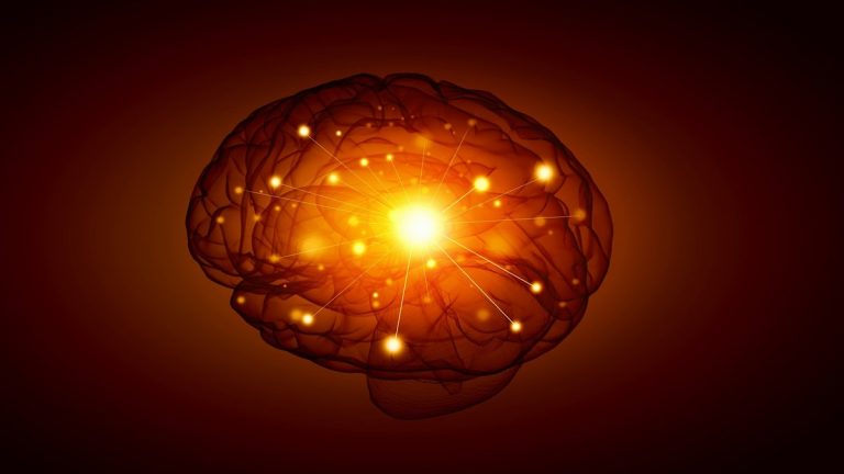 Concept of human intelligence with human brain on black background