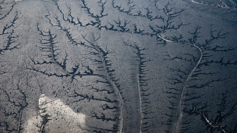 Branching_river_network_seen_from_above