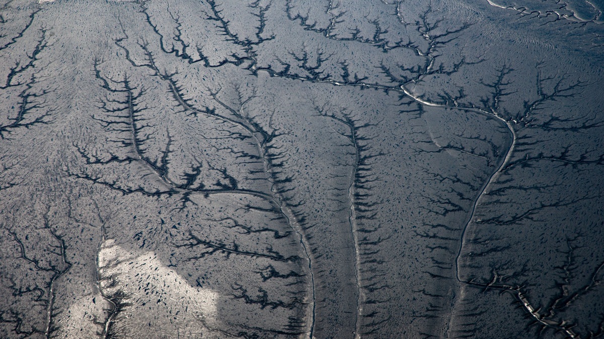 Branching_river_network_seen_from_above