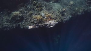 Breath hold diving aquaticity