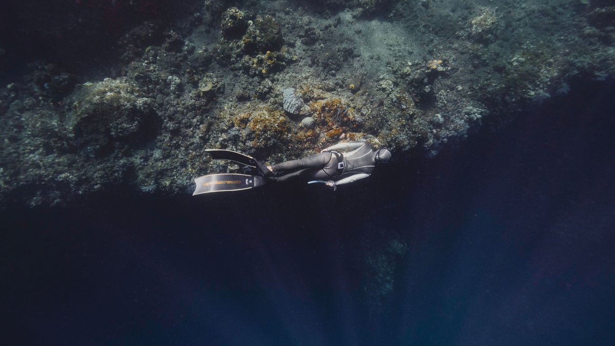 Breath hold diving aquaticity