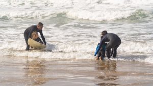 Child surf therapy