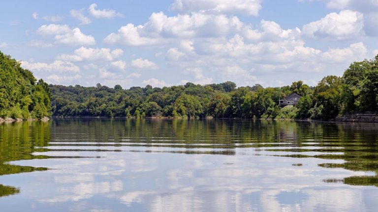Tranquil view of a calm lake with reflective waters and green surroundings in Nashville, Tennessee