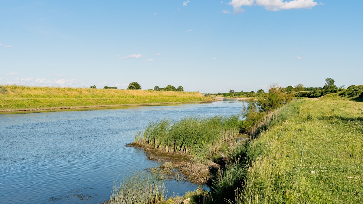 Peaceful river scene with clear blue sky and lush green banks under bright sun