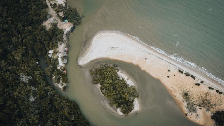 Stunning aerial view of a coastal forest area with a distinctive sandbank surrounded by green water
