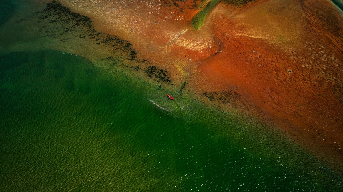 Colored_water_along_an_estuary_coast