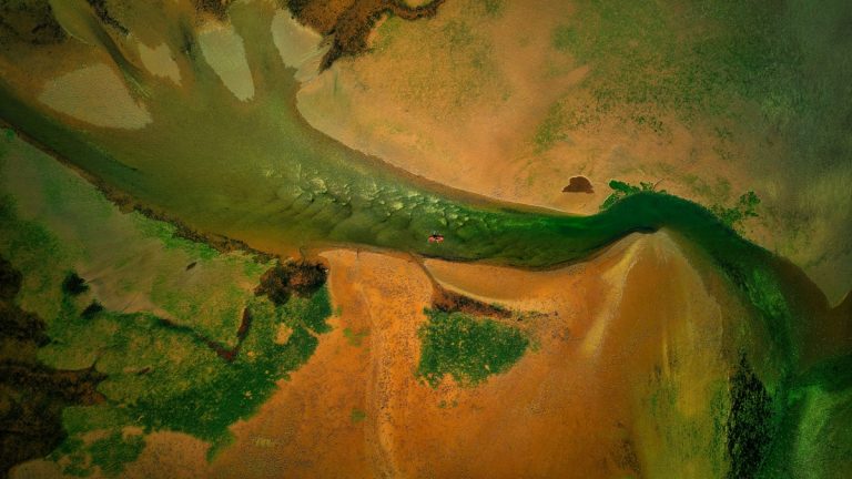 Contrasting_waters_in_a_brackish_estuary