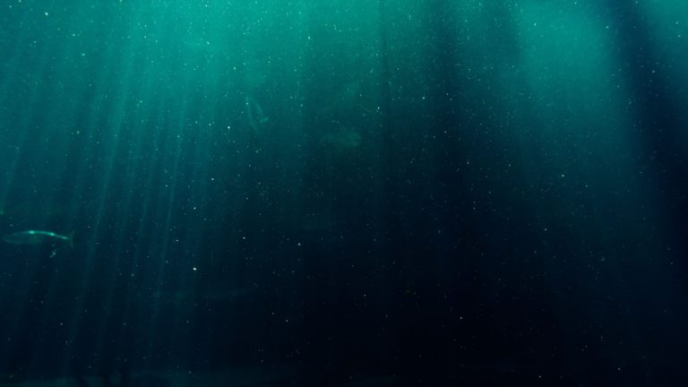 Darkening_ocean_water_below_the_surface