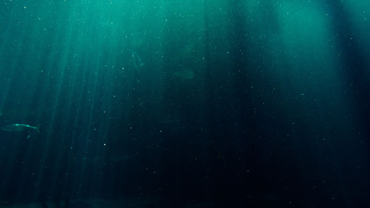 Darkening_ocean_water_below_the_surface