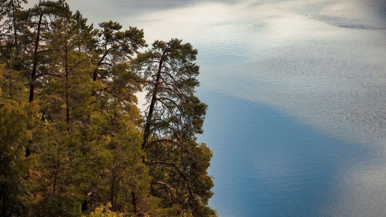 Deep_lake_beside_a_forested_shore