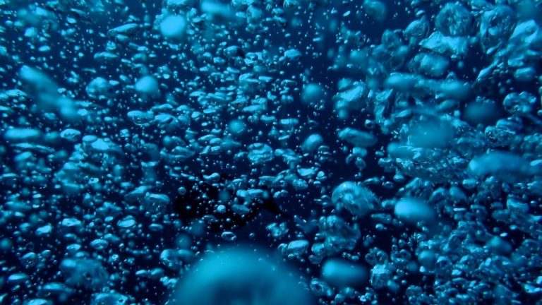 Deep_ocean_water_below_the_carbonate_boundary