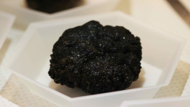 A black manganese nodule recovered from the Pacific Ocean abyssal plain
