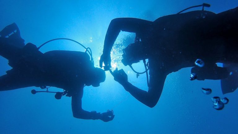 Diver hypercapnia training
