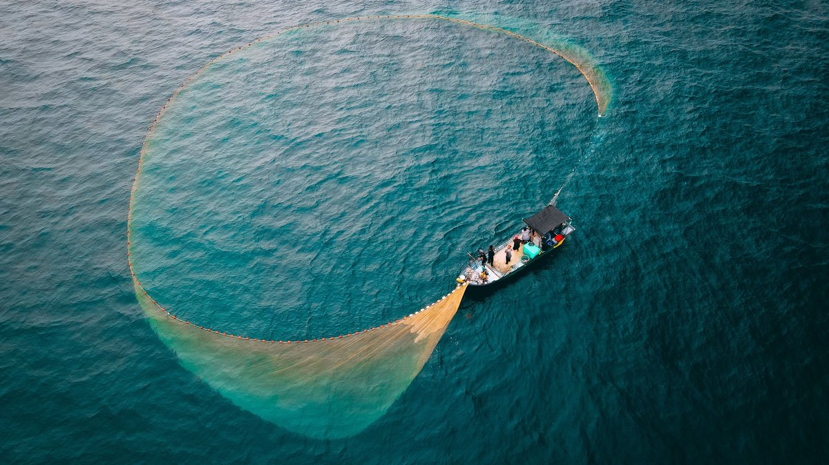 Aerial shot of a fishing boat deploying a large net in the open sea, showcasing traditional fishing methods