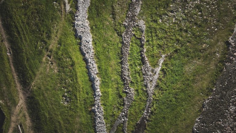 Dry_branching_stream_channels