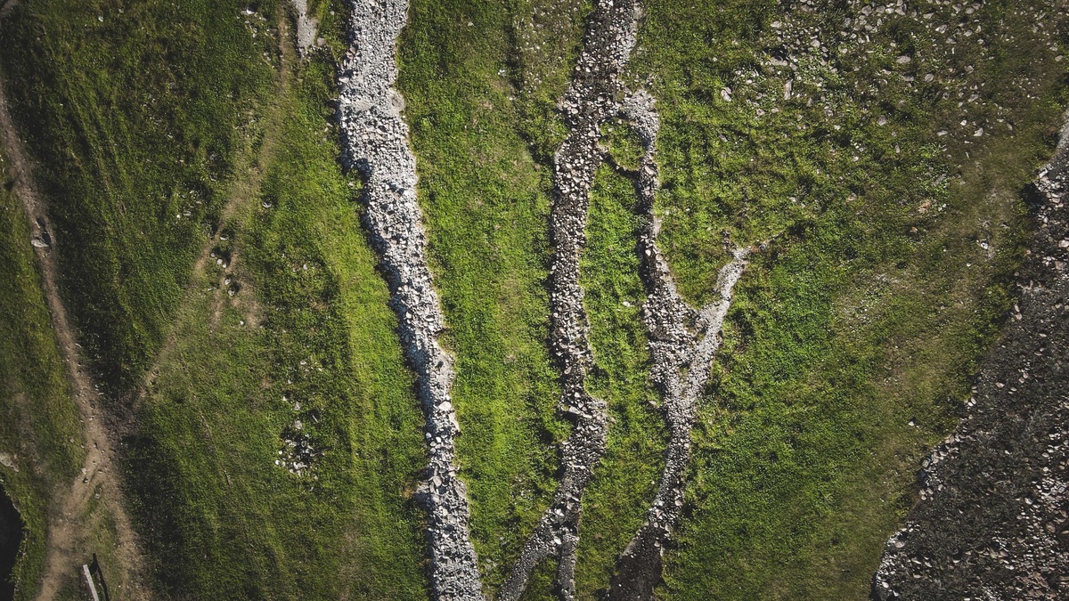 Dry_branching_stream_channels