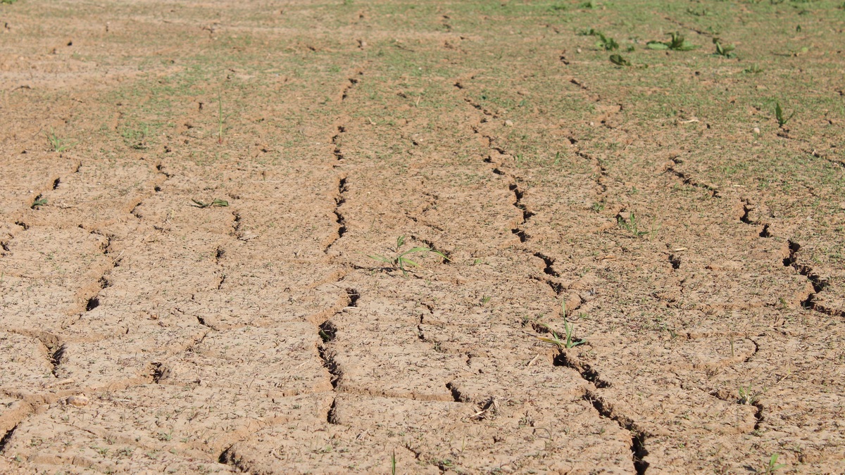 Dry_cracked_ground_during_drought