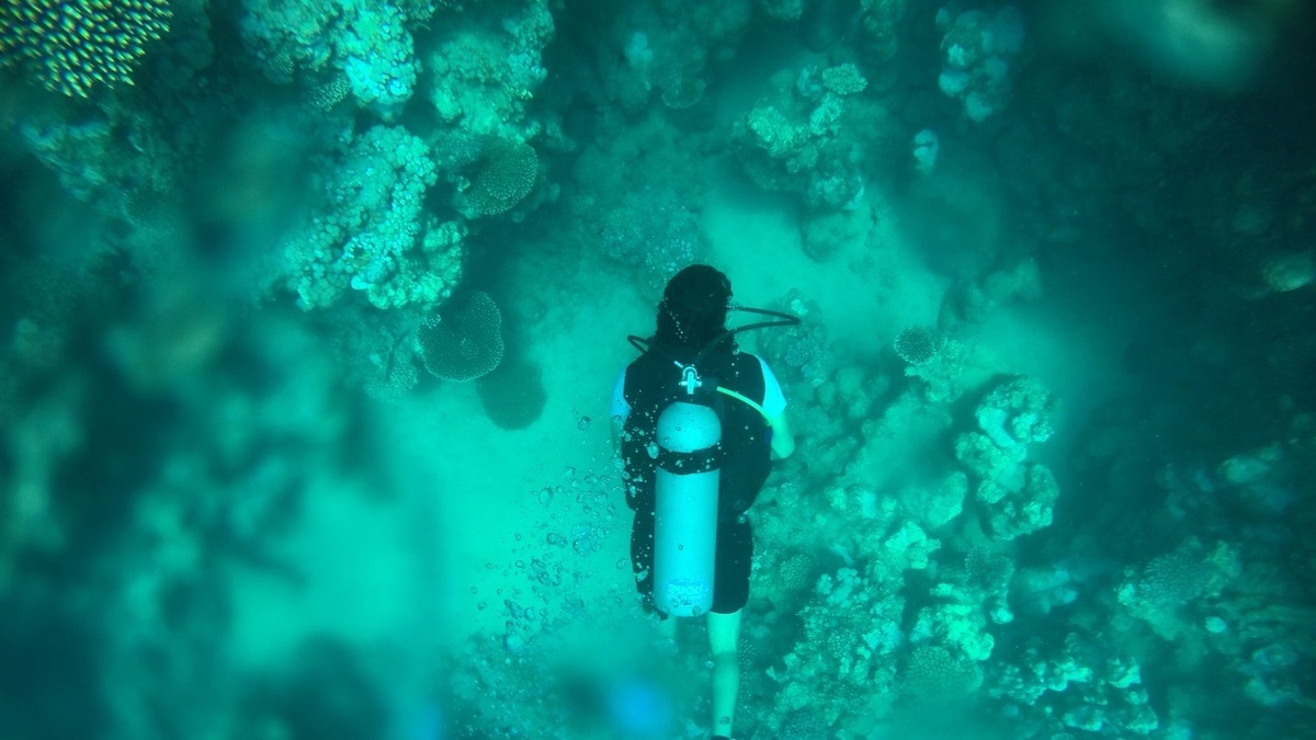 Flat_deep_ocean_abyssal_plain
