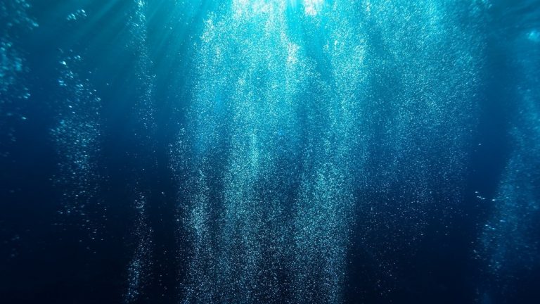 Fluid_rising_from_the_deep_seafloor