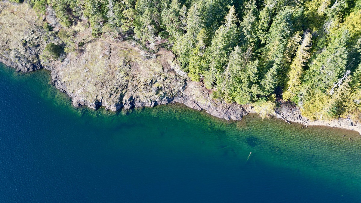 A stunning aerial view of a lush green forest along a tranquil blue lake shoreline