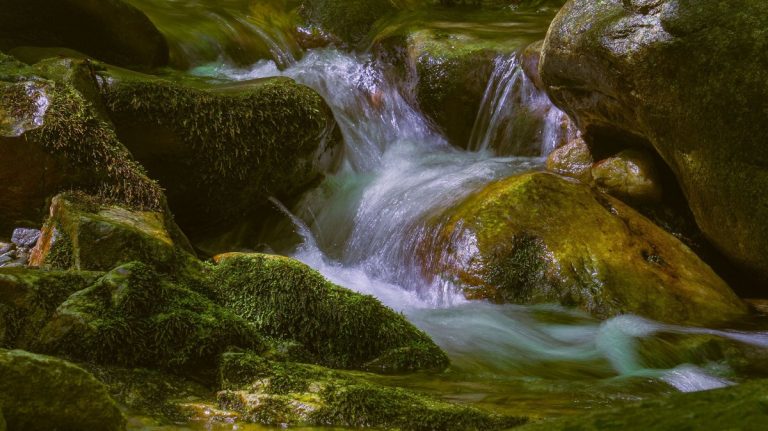 Forest stream flowing over moss-covered rocks