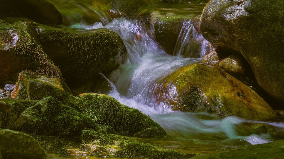 Forest stream flowing over moss-covered rocks