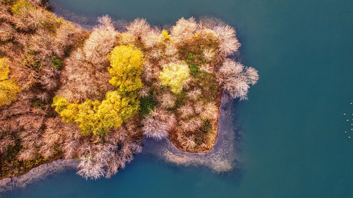 Forested_island_in_a_northern_minnesota_lake
