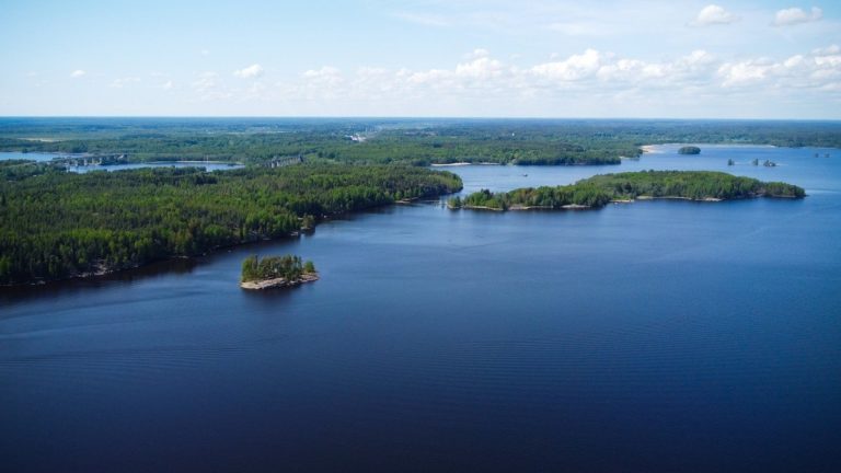 Forested_lake_shoreline_in_northern_minnesota