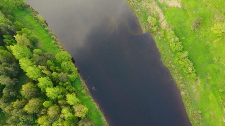Forested_riparian_zone_along_a_river
