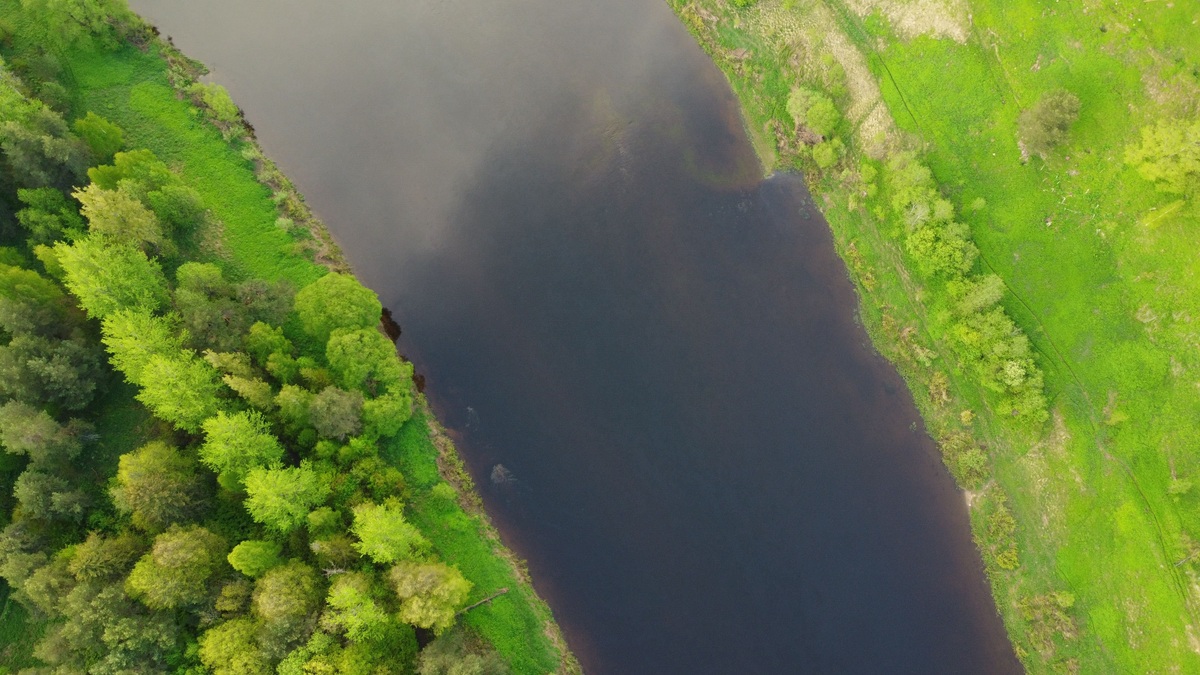 Forested_riparian_zone_along_a_river
